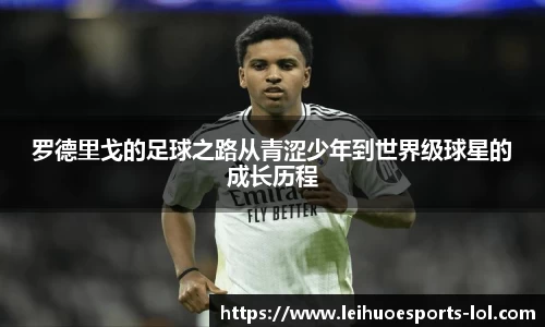雷火电竞官网